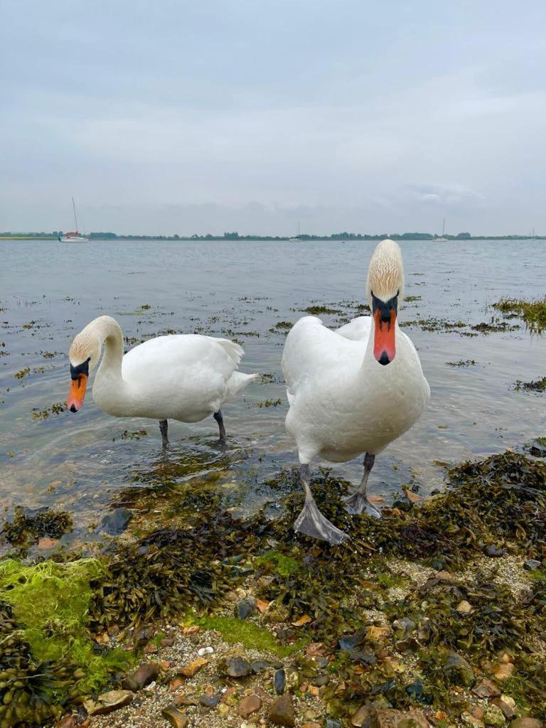 Hotel Sea Breeze Ark 900 Emsworth Zewnętrze zdjęcie